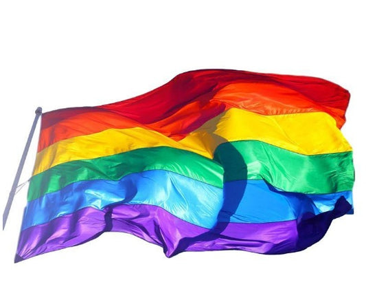 Pride LGBT Flag-Rainbow Banner-Indoor-Outdoor-Wall-Pole