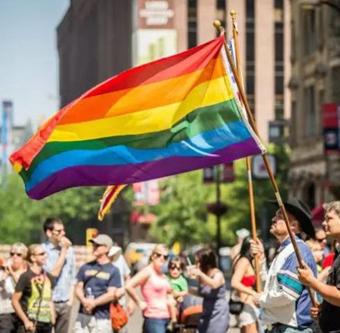 Pride LGBT Flag-Rainbow Banner-Indoor-Outdoor-Wall-Pole