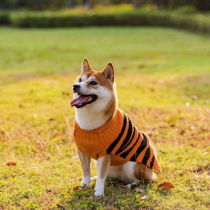 Dog Sweaters-Pet Costume-Warm Leisure Sweater-Cosplay Halloween Outfits