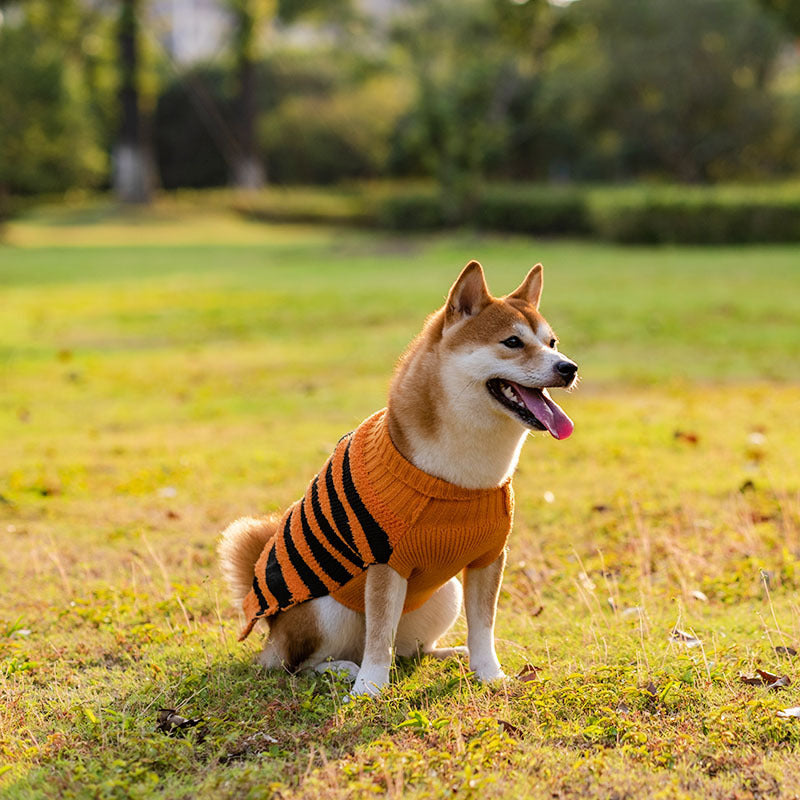 Dog Sweaters-Pet Costume-Warm Leisure Sweater-Cosplay Halloween Outfits