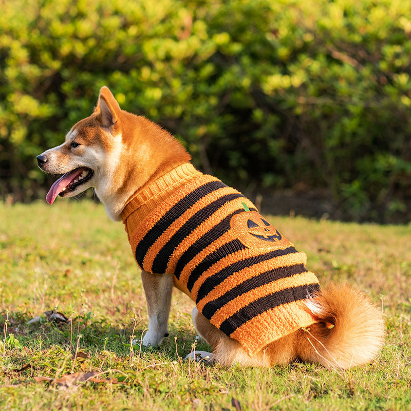 Dog Sweaters-Pet Costume-Warm Leisure Sweater-Cosplay Halloween Outfits